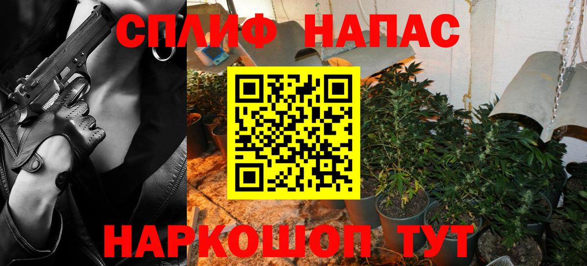 Бошки Шишки VHQ Тимашёвск